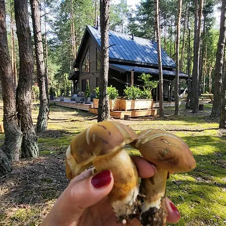 Feriehus Nobelowka Forest Huta Podgorna