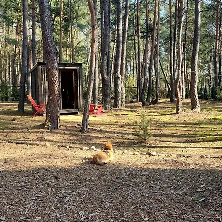 Feriehus Nobelowka Forest Huta Podgorna