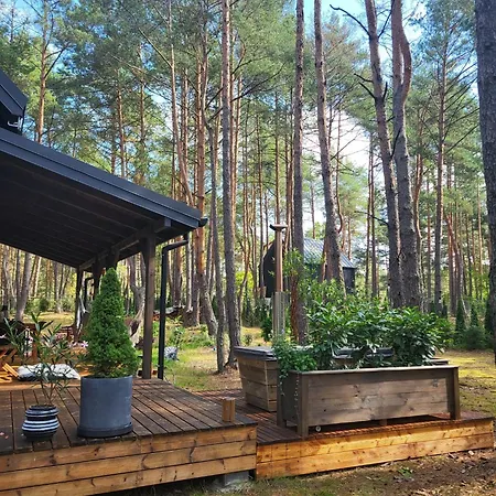 Nobelowka Forest