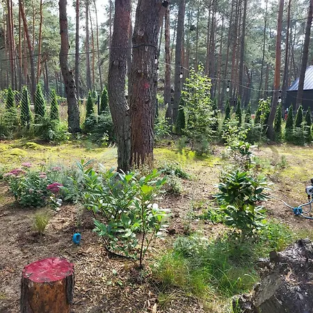 Nobelowka Forest Сasa de vacaciones